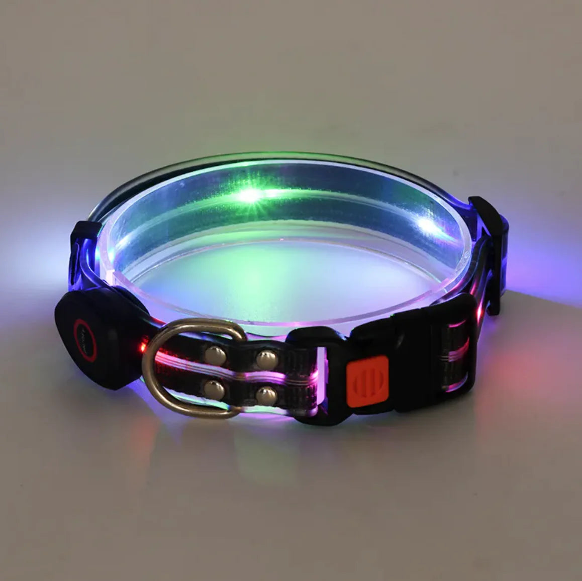 LeuchtPfote LED-Hundehalsband & Leine