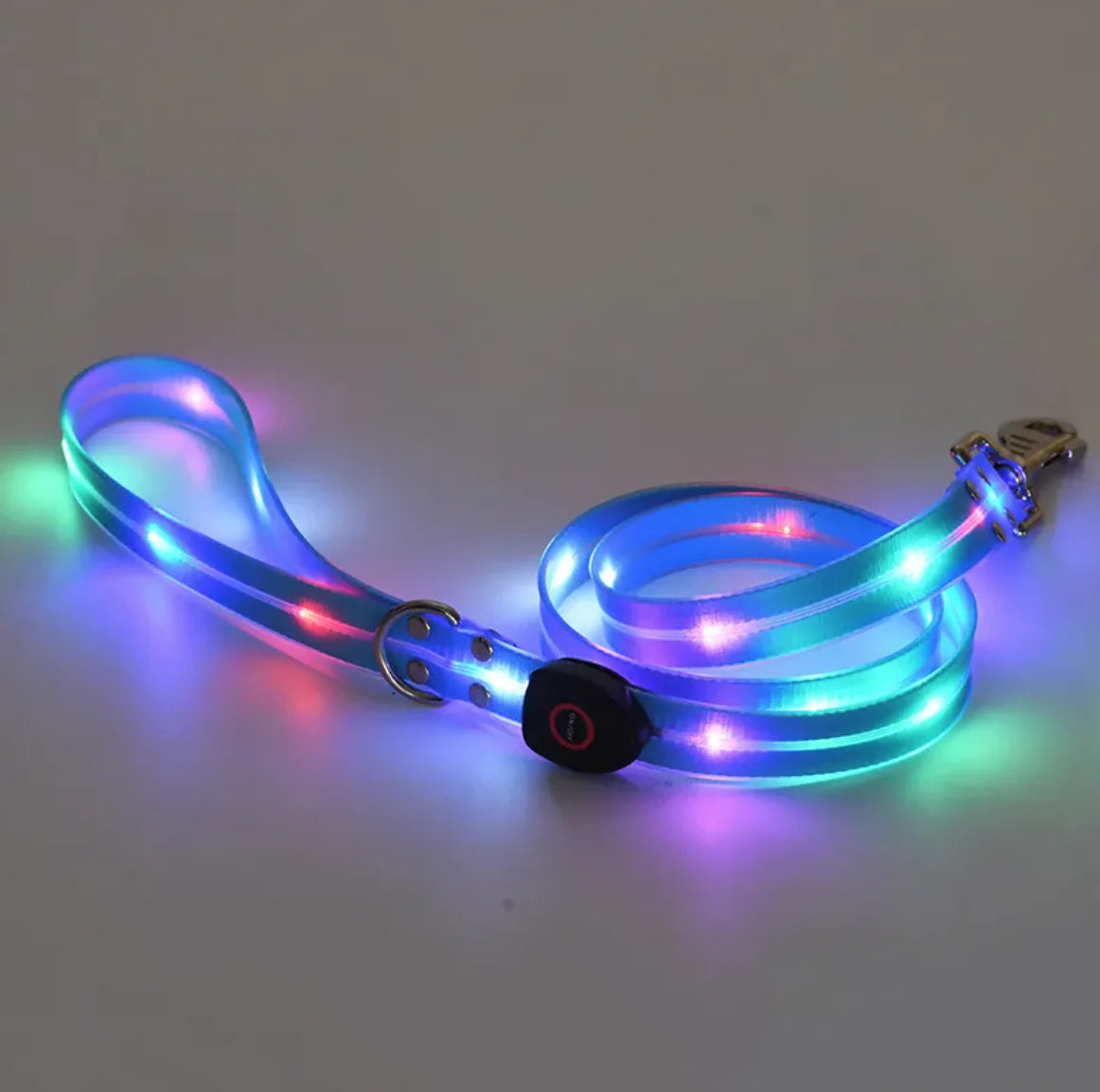 LeuchtPfote LED-Hundehalsband & Leine