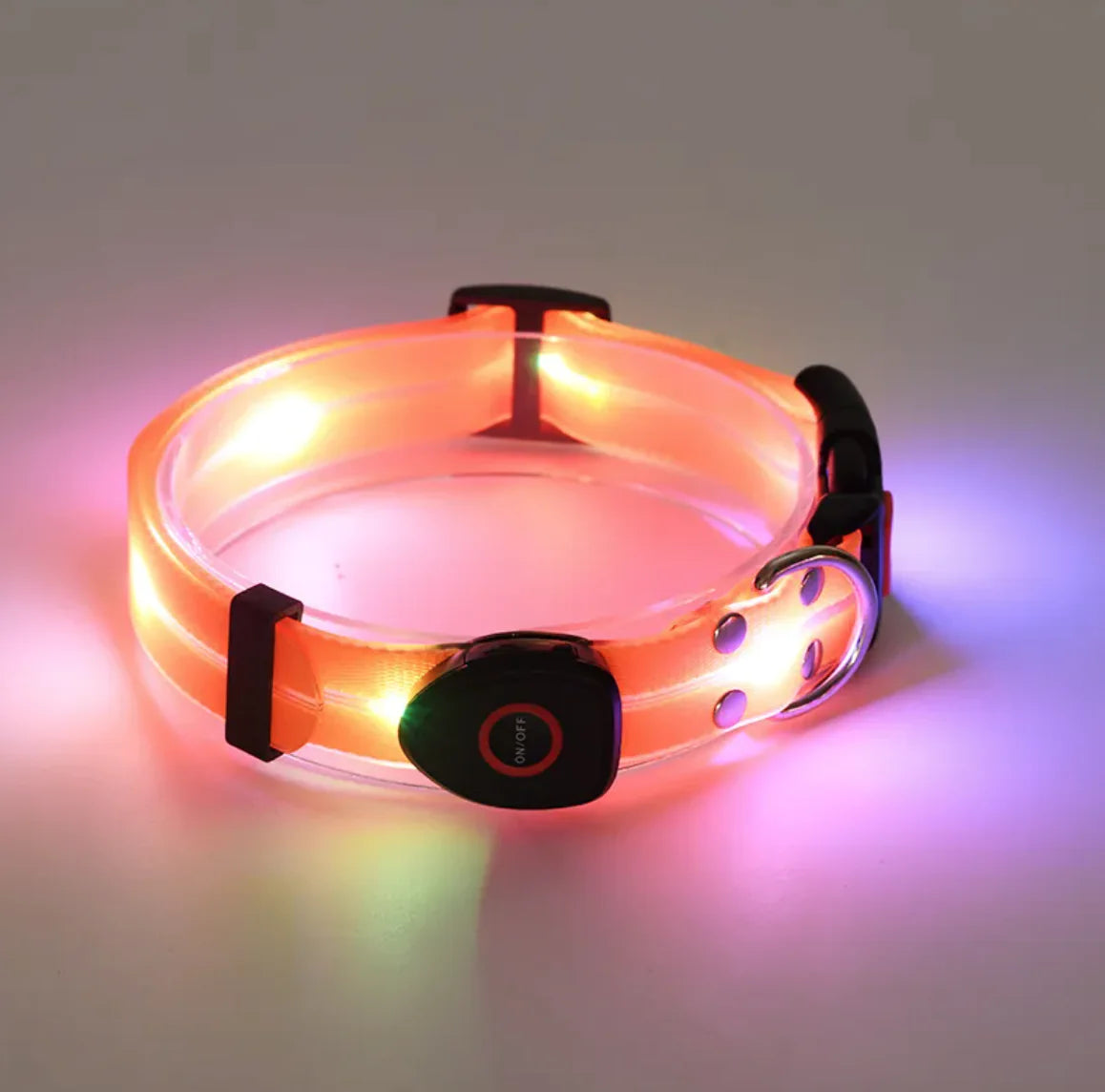 LeuchtPfote LED-Hundehalsband & Leine