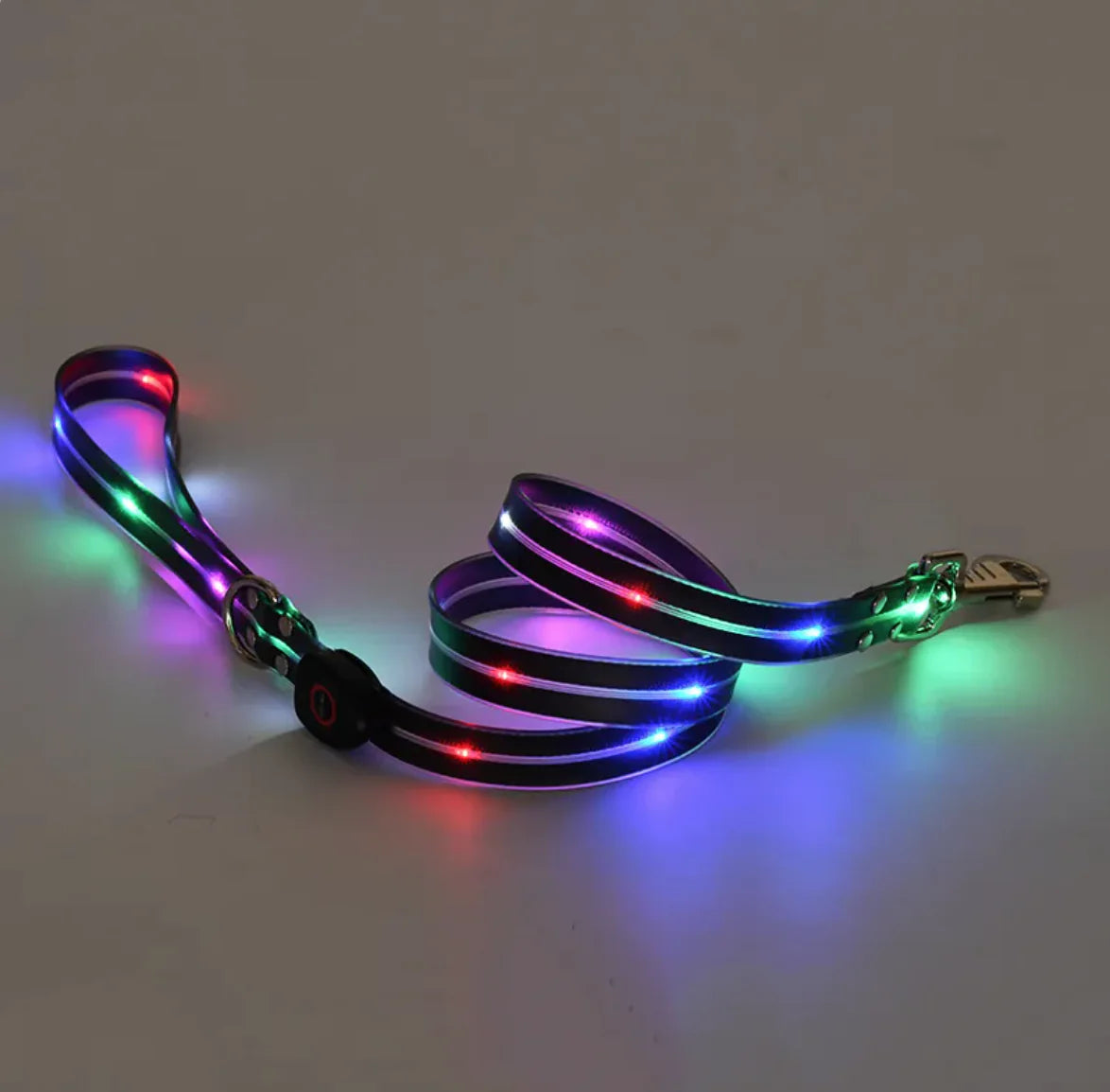 LeuchtPfote LED-Hundehalsband & Leine