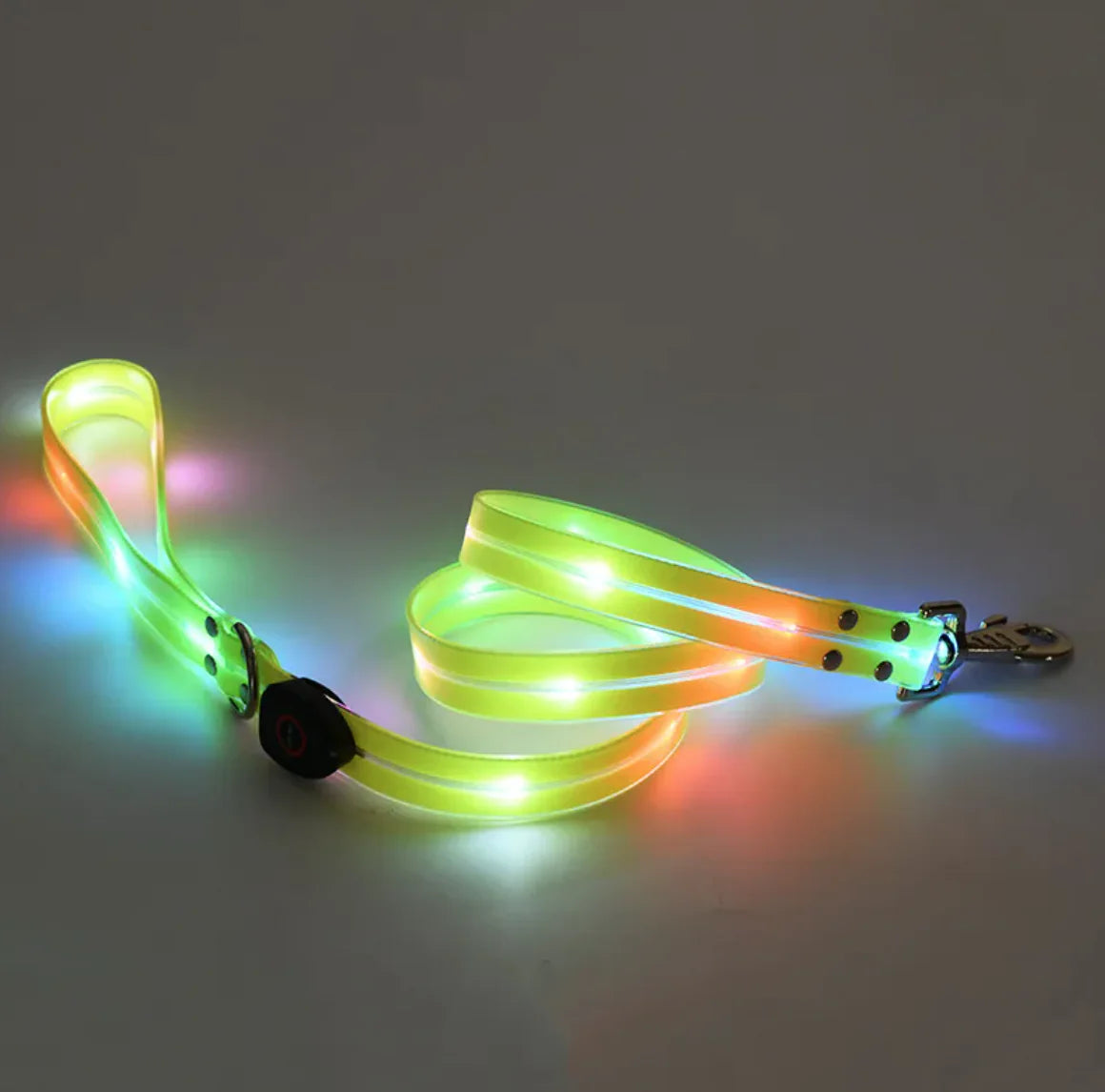 LeuchtPfote LED-Hundehalsband & Leine