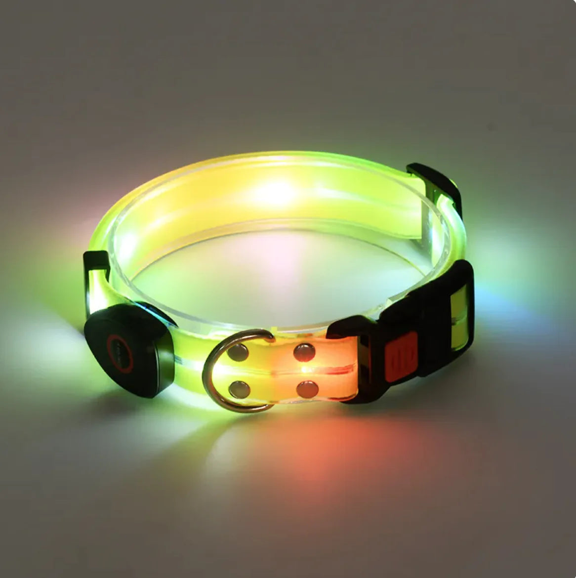 LeuchtPfote LED-Hundehalsband & Leine
