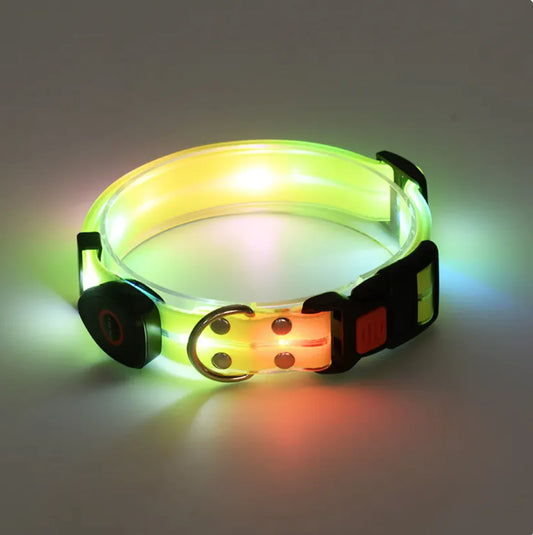 LeuchtPfote LED-Hundehalsband & Leine