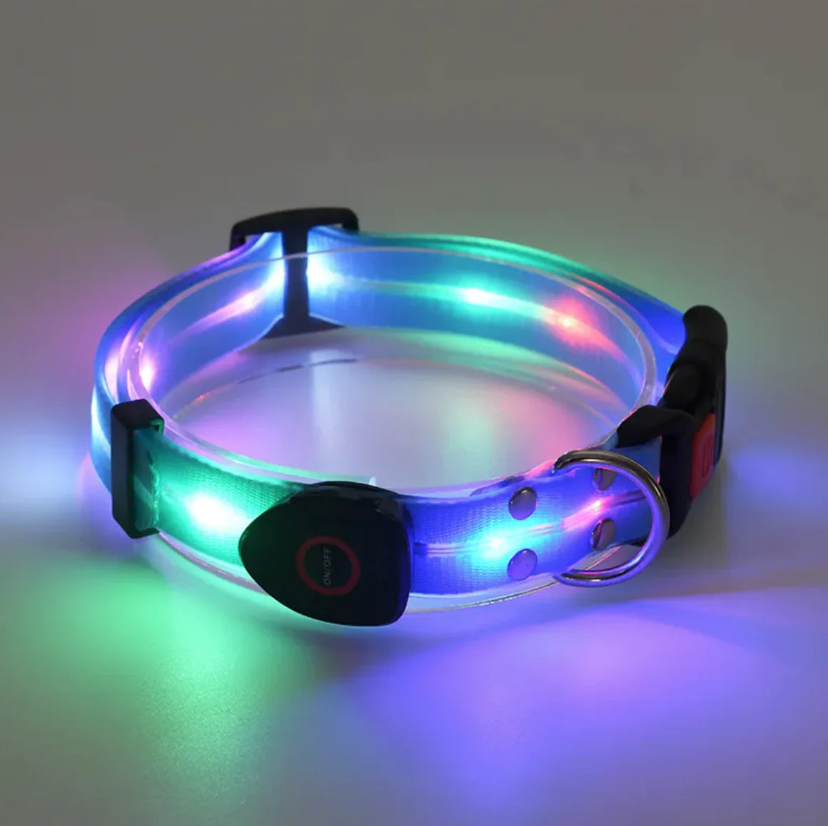 LeuchtPfote LED-Hundehalsband & Leine