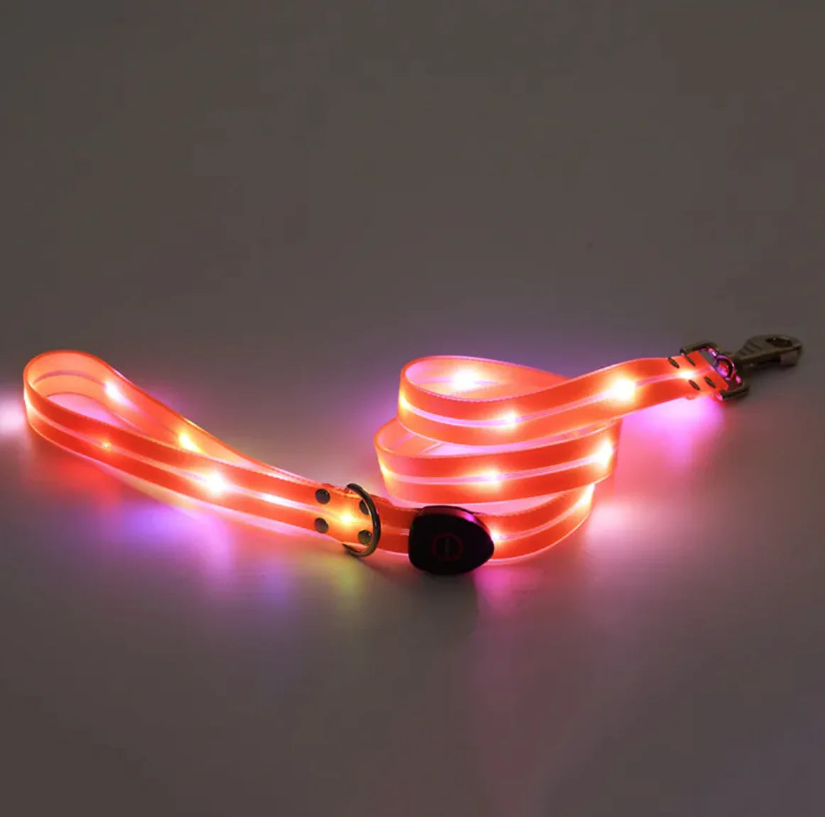 LeuchtPfote LED-Hundehalsband & Leine