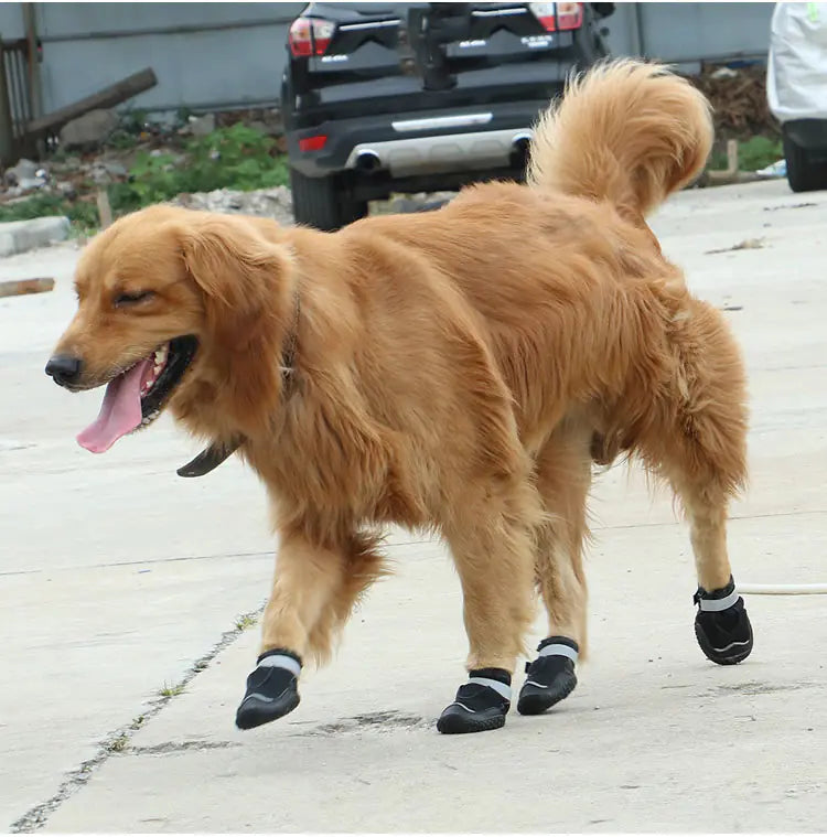 Robuste & Atmungsaktive Hundeschuhe für große Hunde