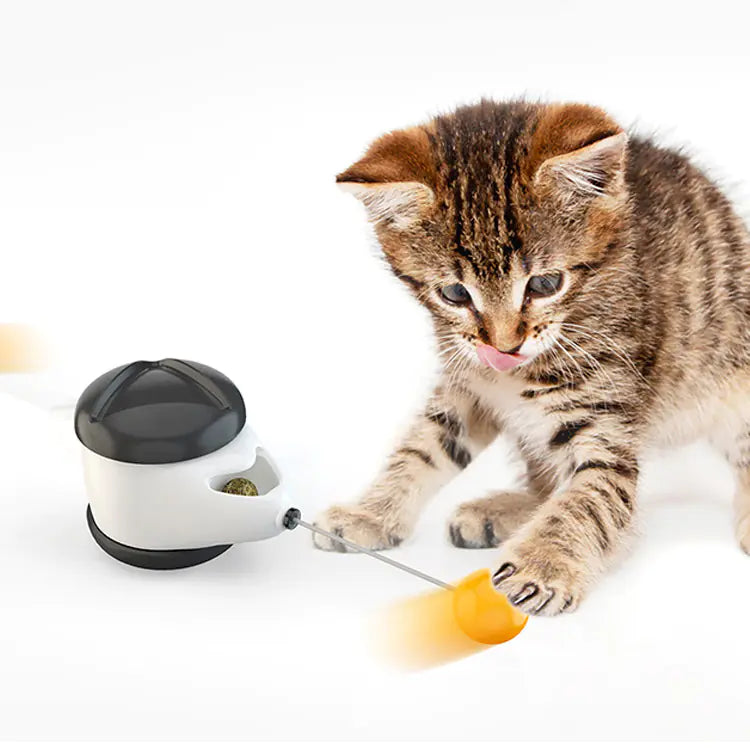 Katzen-Wackelspielzeug mit Snackspender – Interaktiv & selbstschwingend