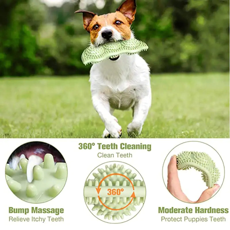 Beißfester Hundespielball – Für interaktives Kauen & Spielspaß