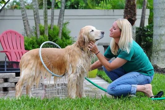 Hundeduschring mit Rundum-Wasserstrahl – Für einfache & gründliche Fellpflege