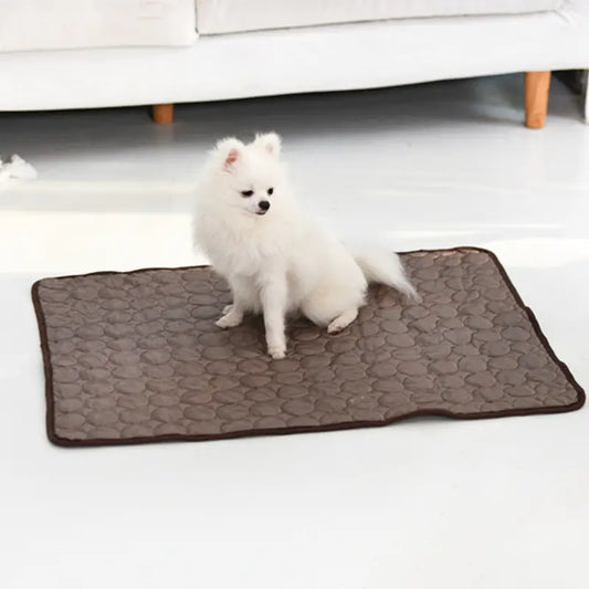 Kühlmatte aus Ice Silk – Sommerlicher Liegekomfort für Hunde & Katzen